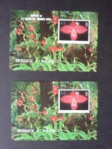 Jersey 2004, 38 Sellos y 6 Hojas Bloque Nuevos POR DEBAJO DE FACIAL, MNH ** - Imagen 1 de 7