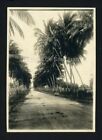 Antique Scraparium Press Photo / Military Roadporto Rico / Puerto Rico 1927
