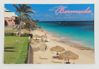 Carte postale Pink Beach Club Smith's Parrish Bermudes non publiée