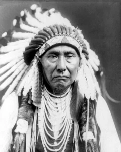 Häuptling Joseph Nez Indianer, Indianer, Alter Westen 8"x 10" Foto 12 - Bild 1 von 2