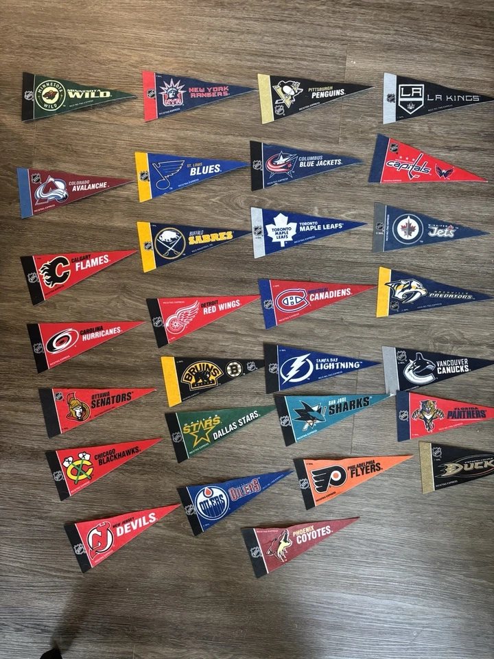 NHL National Hickey League Mini Pennants (29 Included) - Image 1 of 1