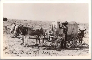 RPPC Photo Postcard Walker w/ Covered Wagon / Burros "Washing Down the Alkaline" - Picture 1 of 2