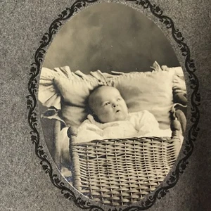 Vintage Photograph Chubby Baby In A Wicker Basket - Picture 1 of 3