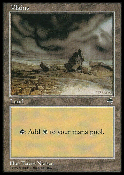 Plains (Rocks) Tempest Light Play MTG Magic DNA GAMES - Image 1 of 1