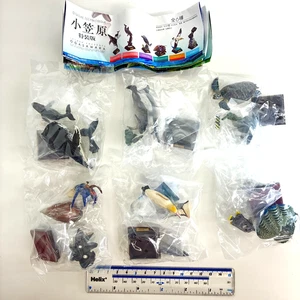 Nature Techni Colour Mini Figur Ogasawara 6er Set Ikimon Japan 2025 - Bild 1 von 9