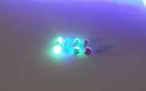 4 UV Luz Negra Brillo Christina Capucha Princesa Albertina Fourchette Sexy Caliente Regalo - Imagen 1 de 4