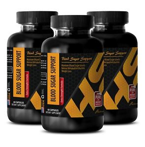 Energy supplement liquid - BLOOD SUGAR SUPPORT 3B - cinnamon organic