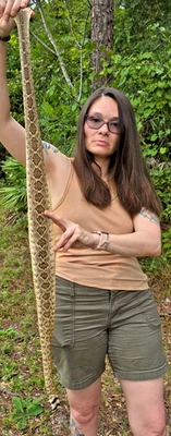 Piel de serpiente de cascabel piel piel cuero esconder diamante occidental espalda disfraz manualidades Foto 1 de 4