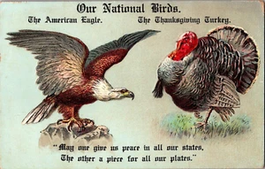 Postkarte Unsere Nationalvögel American Eagle Erntedank Türkei gestempelt 1907 - Bild 1 von 2