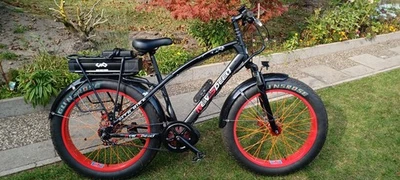 E- Fatbike 26 Zoll - Bild 1 von 4