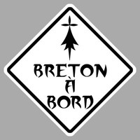 Autocollant Sticker Bebe A Bord Bretagne Breizh Breton Logo 4 12 Cm Ebay