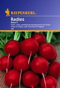 Radies SAXA 3 Kiepenkerl * Radieschen* Samen Rettich - Bild 1 von 4