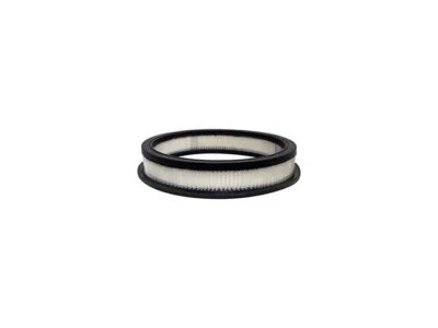 Filtro de aire para Ford Custom 300 1960 Baldwin 52722SHGN 5,8 L V8 VIN: X 2 BBL Foto 1 de 2