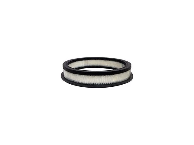 Filtro de aire para Ford Custom 300 1960 Baldwin 52722SHGN 5,8 L V8 VIN: X 2 BBL Foto 1 de 2