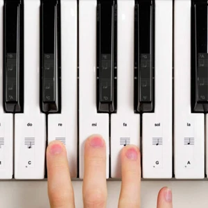54/61/88 Key Piano Stickers Transparent Piano Keyboard PVC Sticker Piano StaLN - Picture 1 of 9