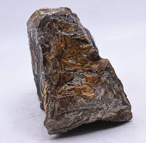 565g Waved Stromatolite Rough Natural Algae Fossil Gemstone Crystal Mineral Peru - Picture 1 of 6