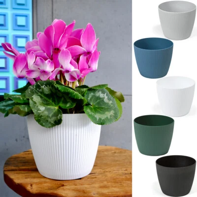 Blumentopf Pflanztopf Übertopf sehr DEKORATIV 5 Farben 7 Größen TOP Neuheit! - Bild 1 von 4