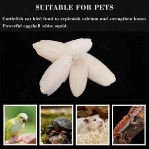 8x Quality Cuttlefish Bone Replenish Calcium Suitable For Cage Birds, Rept New - Picture 1 of 12
