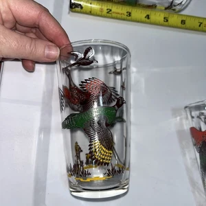 1950’s Vtg Hazel Atlas Hunting Pheasant Glasses Drinking Set of 6 - Picture 1 of 6