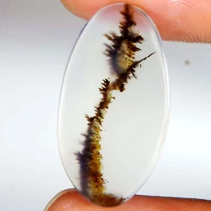 9.10 Cts Genuine Scenic Dendritic Agate Oval Cabochon Gemstone 12x23x2 mm GIA_60 - Picture 1 of 7
