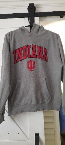 VETEMENTS Indiana University Felpa con cappuccio grigia Knights abbigliamento M