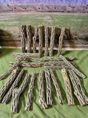 25 pc. Cholla Cactus Wood 6 inch Aquarium Craft Decoration (BP3) - Image 1 of 3