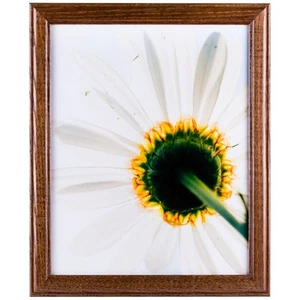 Wiltshire 236, Simple Brown Hardwood Picture Frame, 4 x 6 Inch - Picture 1 of 7