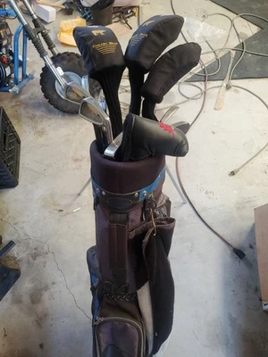 JUEGO DE 12 PALOS DE GOLF GOLDEN BEAR XS TECH CON VARILLAS DE GRAFITO FLEXIBLES SENIOR Y BOLSA DE GOLF Foto 1 de 4