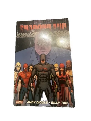 Shadowland TPB (2011 Marvel) Daredevil Bullseye Spider-Man Punisher - Image 1 of 3