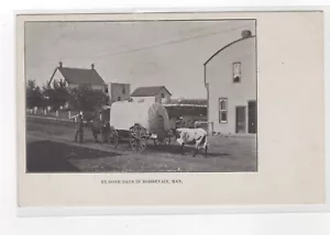 CARTOLINA Giorni passati a BOISSEVAIN MAN cavallo mucca carro coperto DORSO INDIVISO - Foto 1 di 2