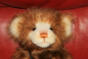 Charlie Bears bear BECKY Approximately 12" with tags. Excellent condition - Picture 1 of 4