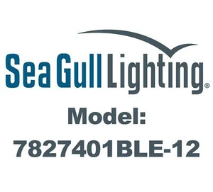 Sea Gull 7827401BLE-12 Cast Al ES Outdoor Ceiling Lighting CFL, Black - Picture 1 of 1