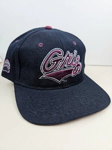 Vintage WOOL Montana Grizzlies Trucker Hat Zephyr Cap - Picture 1 of 6