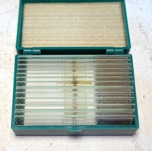 Juego de diapositivas de microscopio preparado, organismos pequeños, ¡nuevo! - Imagen 1 de 2