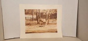 "Herbst warm" 22 3/4" x 18 1/8" Großdruck - Bild 1 von 11