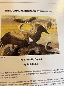 1982,Buzzard Print,Bob Kuhn,African White Vulture,143/777,Signed S.,No Damage - Bild 1 von 12