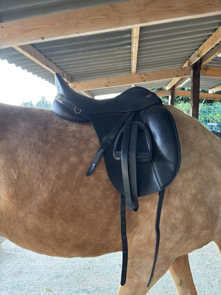 selle dressage - Photo 1/4