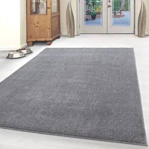 Kurzflor Teppich Einfarbig Robust Gabbeh Optik Designteppich Hellgrau Meliert - Bild 1 von 5