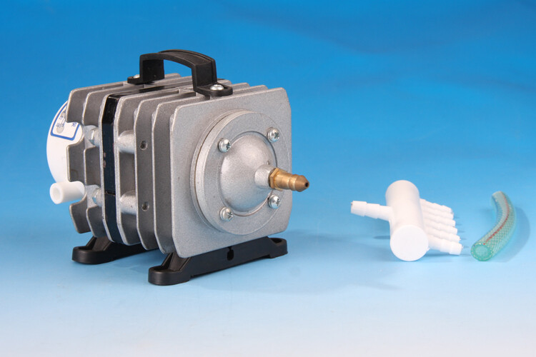 large fish tanks for sale eBay