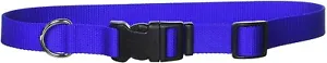Coastal Pet Products 1-Inch Nylon Adjustable Dog Collar, Large, Blue - Picture 1 of 2