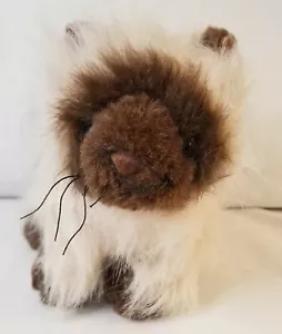 Webkins Himalayan Cat Ganz HM 165 8" pluch stuffed animal No Code. - Picture 1 of 9