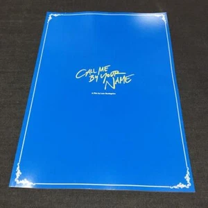 Call Me By Your Name Japan brochure Deluxe BROCHURE Limited Edition - Picture 1 of 1