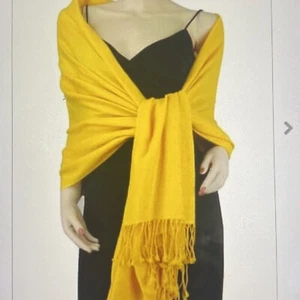 Pashmina Cashmere Silk Shawl Wrap New in Pkg - Picture 1 of 7