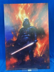 Star Wars Artist Tsudo Sanda 24" x 36" Fan Club Exclusive Art - Picture 1 of 3