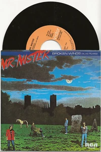 MR MISTER BROKEN WINGS ORIGINAL SINGLE FROM SPAIN, MINT CONDITION - Picture 1 of 2