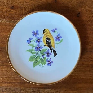 Vintage Bavarian Schumann Arzberg Germany American Goldfinch w/Larkspur Flowers - Picture 1 of 15