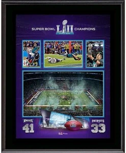 Philadelphia Eagles 10x13 Super Bowl LII Champs Team Sub Plaque - Picture 1 of 1