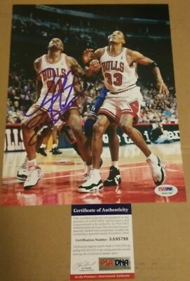Dennis Rodman Chicago Bulls Signed 8x10 Photo Autograph w/ PSA/DNA COA - Image 1 of 4