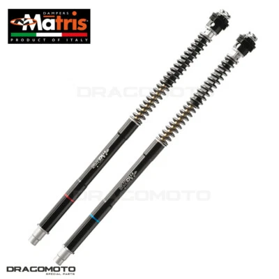 HONDA CBR 600RR 2013-2017 Kit Horquilla MATRIS F25H232SA Delantera HONDA|CBR 600RR|20... Foto 1 de 4