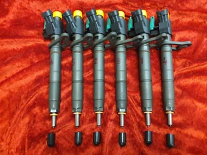 RANGE ROVER JAGUAR 3.0 RICONDIZIONAMENTO SET 6 INIETTORI DIESEL BOSCH 0445116065 - Foto 1 di 8